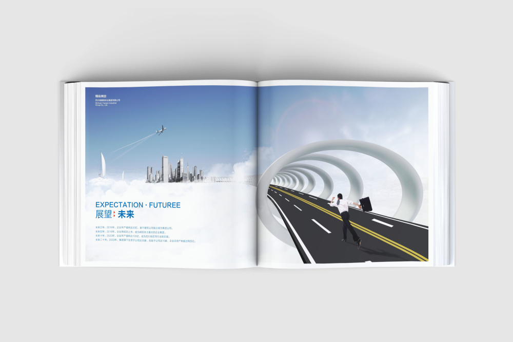 振兴区画册设计